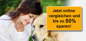 Hundehaftpflichtversicherung Vergleich
